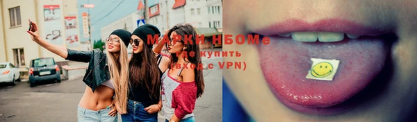 ешки Алексин
