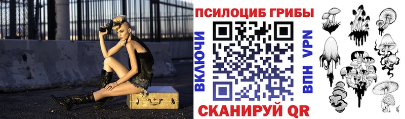 Псилоцибиновые грибы прущие грибы  Купить закладки  Магнитогорск 
